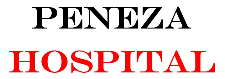 Front Logo